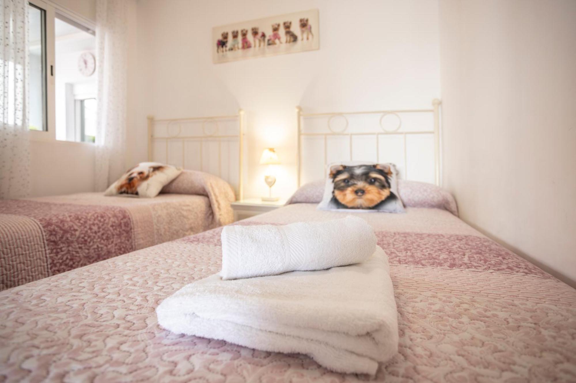 Apartment Rosa